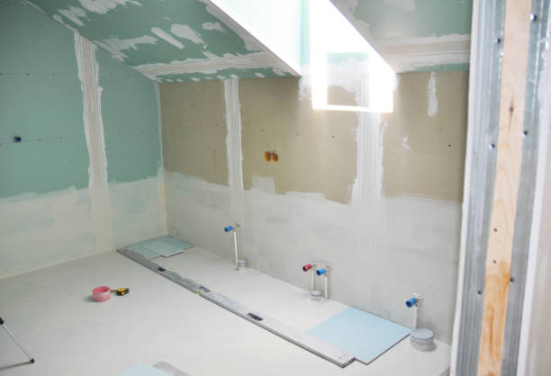 Best Mold Damage Restoration  in Sault Ste Marie, MI