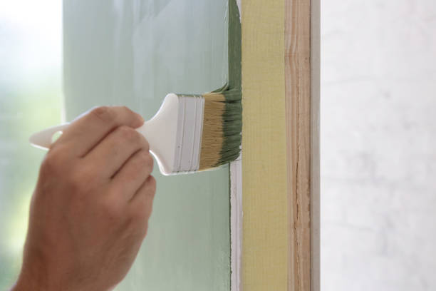 Best Attic Mold Removal  in Sault Ste Marie, MI