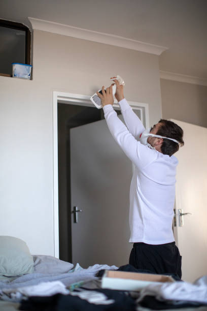 Environmental Consulting for Mold Prevention in Sault Ste Marie, MI