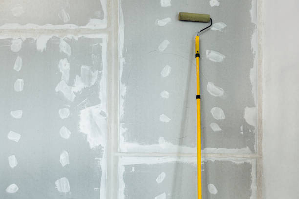  Sault Ste Marie, MI Mold Removal Pros