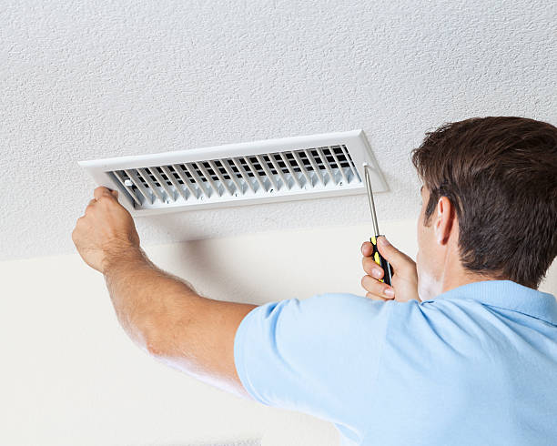 Trusted Sault Ste Marie, MI Mold Removal Experts
