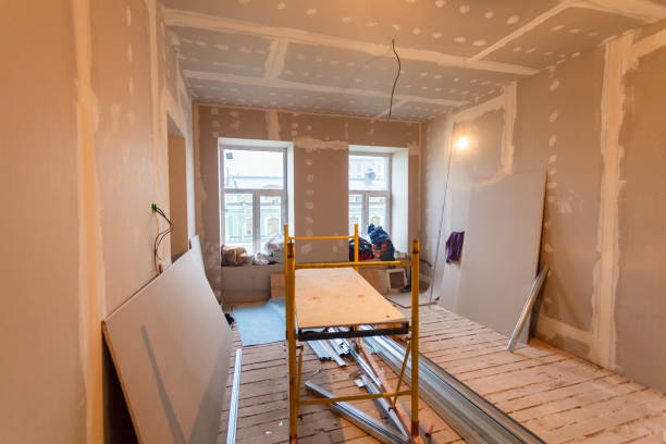 Best Crawl Space Mold Remediation  in Sault Ste Marie, MI